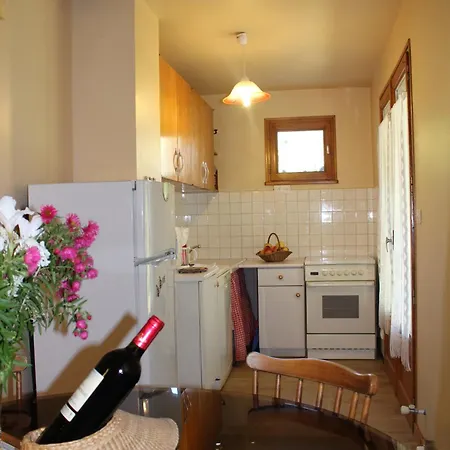 Ferienwohnung Lou R'Bat Pays Le Grand-Bornand Exterior foto